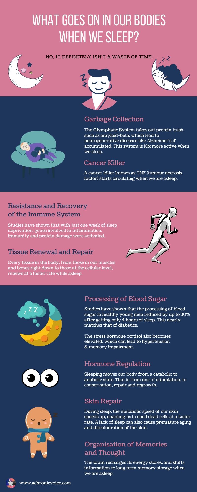 9 Things That Happen in Our Bodies When We Sleep Infographic