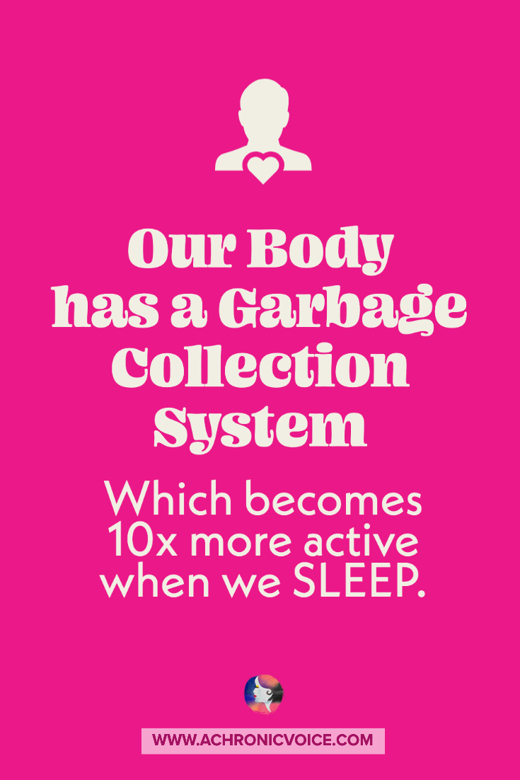 Our Body has a Garbage Collection System Which Becomes 10x More Active When We Sleep