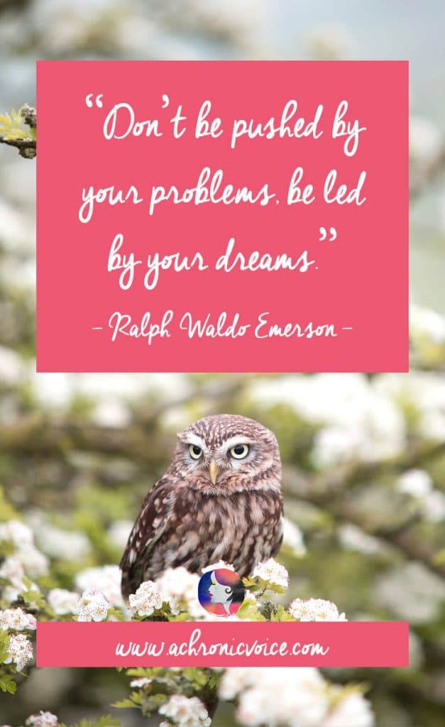 Free Wallpapers: Let Your Dreams Inspire Life WIthin You Once More | Owl | A Chronic Voice