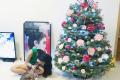 Our Last Christmas with Snuffles, Our Mini Schnauzer