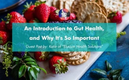 An Introduction to Gut Health, and Why It's so Important | www.achronicvoice.com