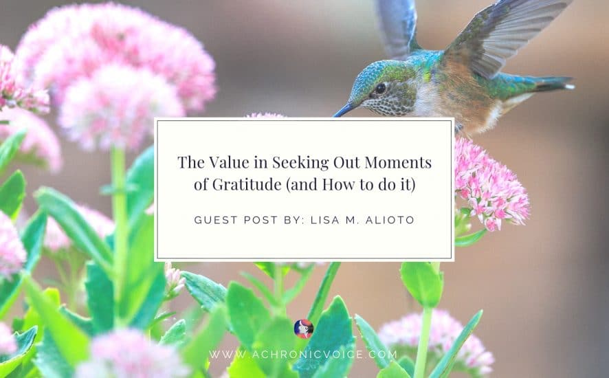 The Value in Seeking Out Moments of Gratitude (and How to do it) | www.achronicvoice.com