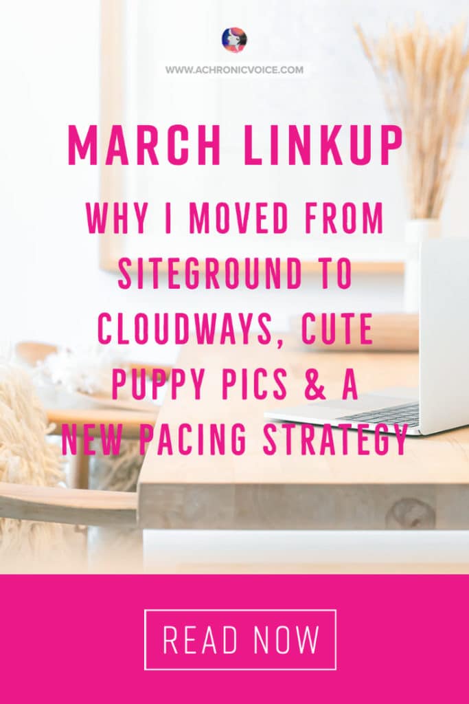 March Linkup - Why I Moved from SiteGround to Cloudways (and Couldn’t be Happier). Plus Cute Puppy Pics & A New Pacing Strategy.