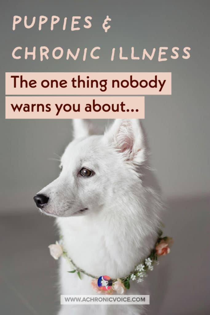 Puppies and Chronic Illness - The One Thing Nobody Warns You About